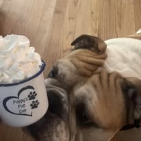 Personalized Pup Cup